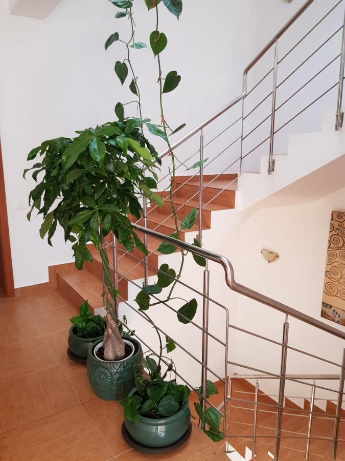Dativo House Năvodari Exterior foto